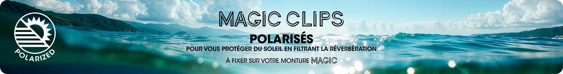 Polarisé